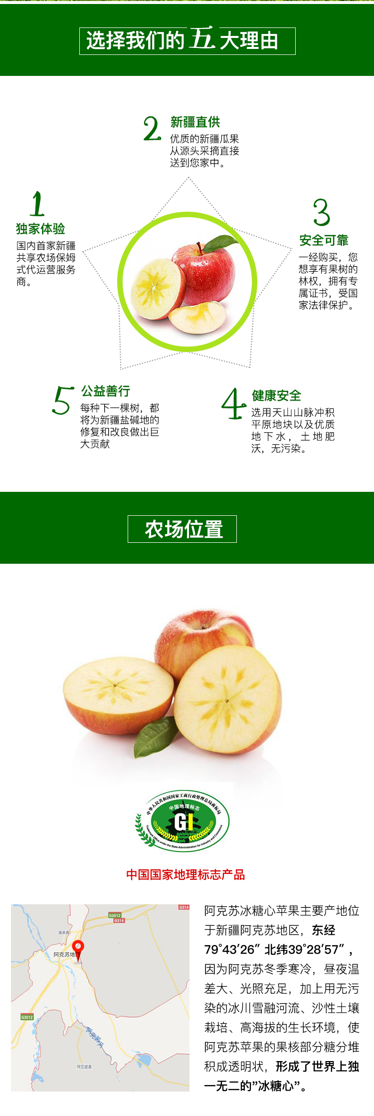 苹果树_02.png