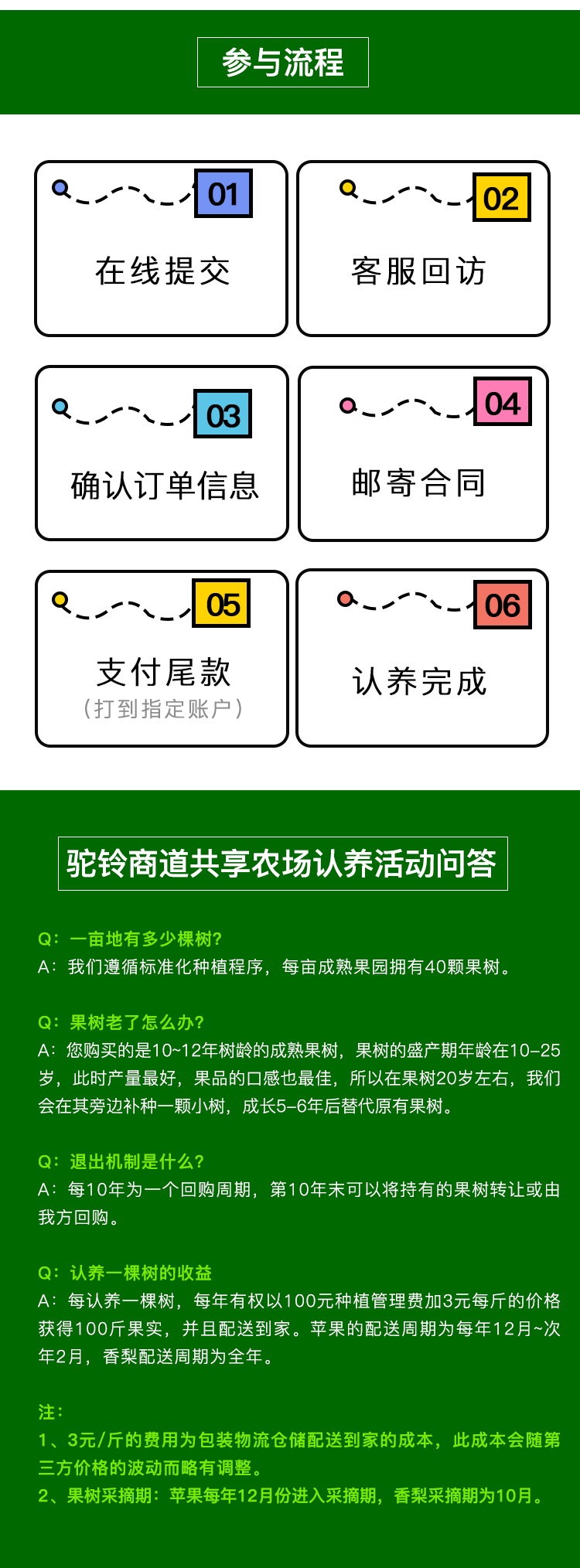 苹果树_05.png