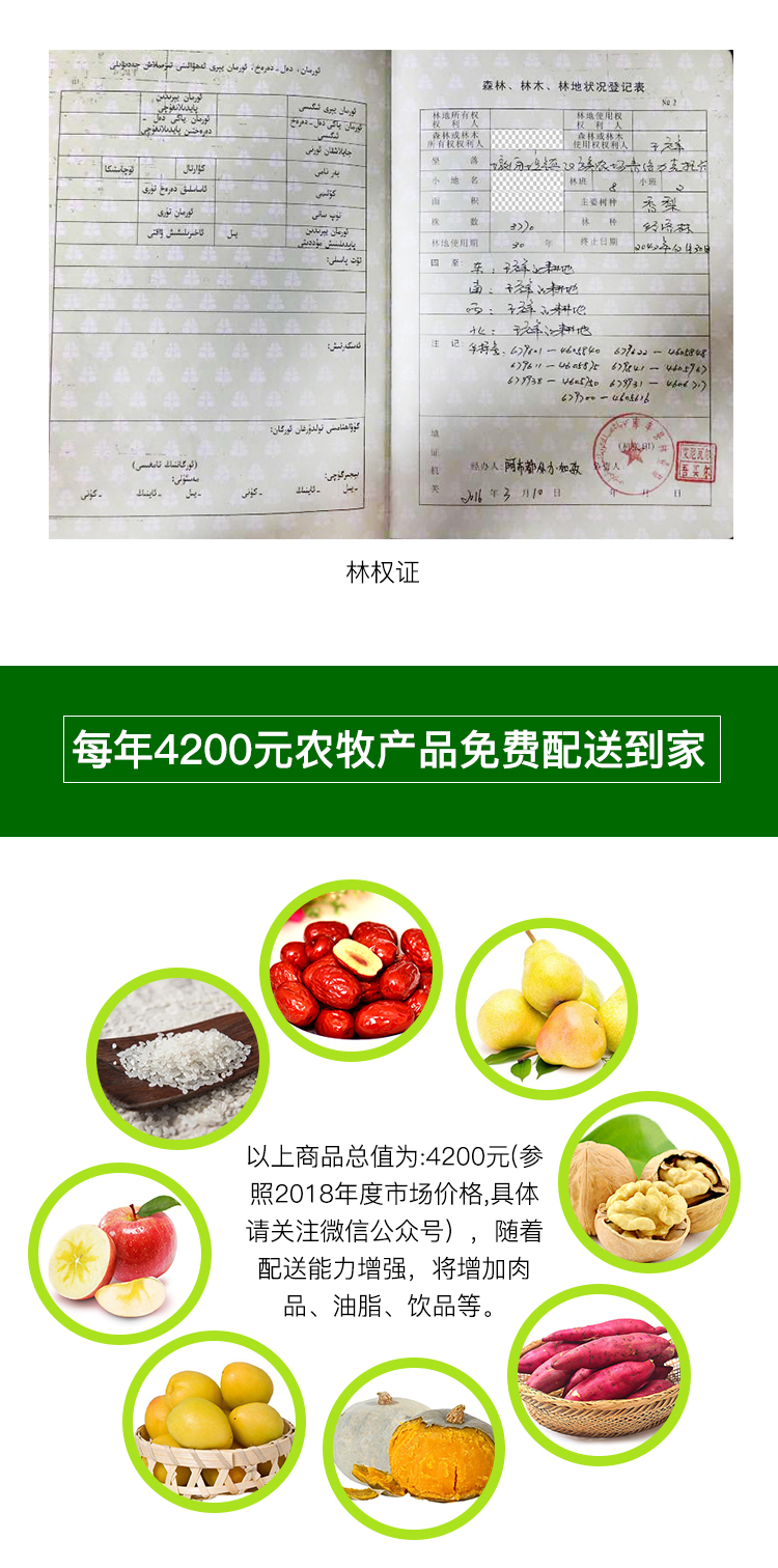 农场_03.png